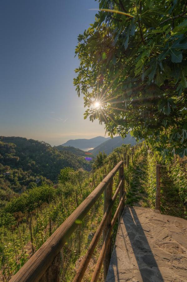 Vila Ca Du Venuto 2 Vernazza Exteriér fotografie